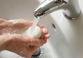 Preprečevanje parazitov v telesu